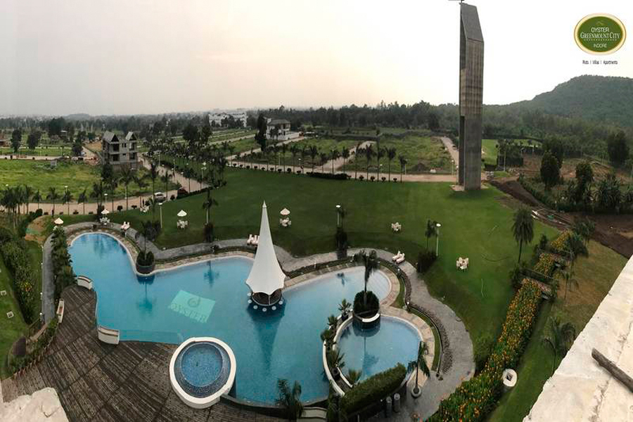 Oyster Greenmount City